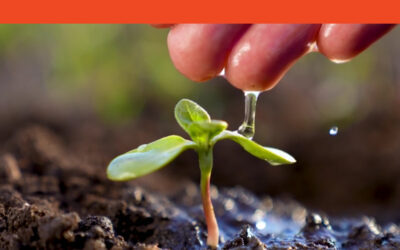 STORIES | Tragedy to Opportunity: A Journey of Healing and Hope