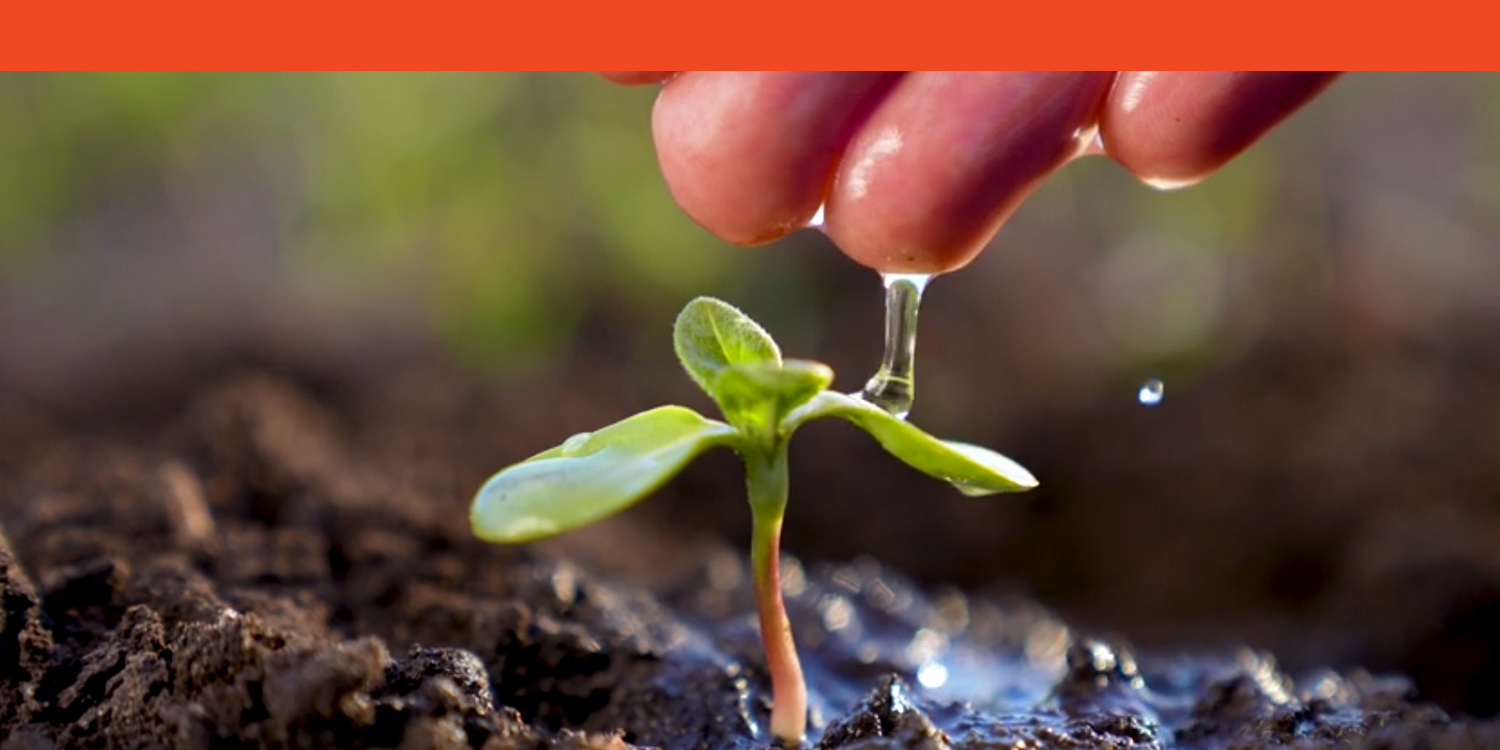 Tragedy to Opportunity