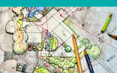 CONNECTIONS | Connecting from Afar: Journey and Arrival